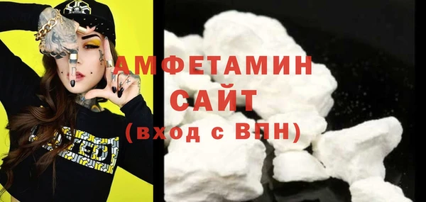 сатива Новодвинск