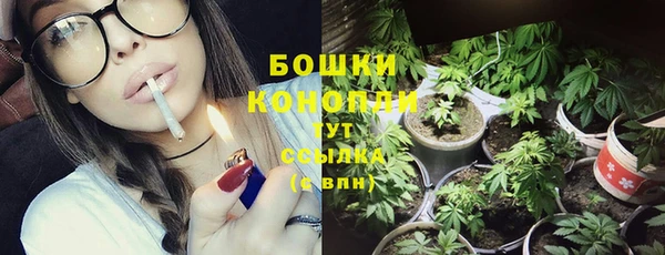 дурь Новозыбков