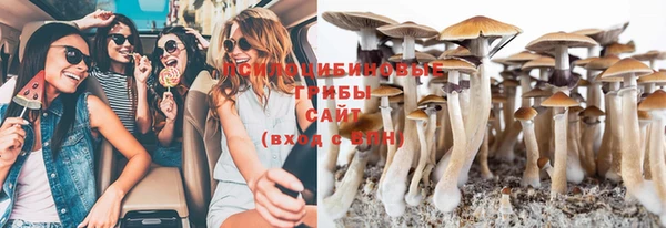 MESCALINE Алзамай