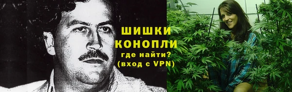прущие грибы Зерноград